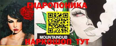 соль ск Новокубанск