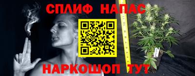 соль ск Новокубанск