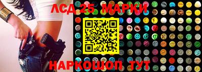 сатива Новозыбков