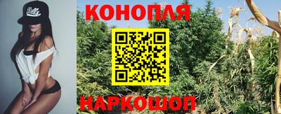 соль ск Новокубанск
