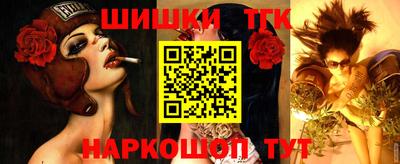 сатива Новозыбков
