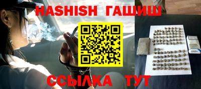 сатива Новозыбков